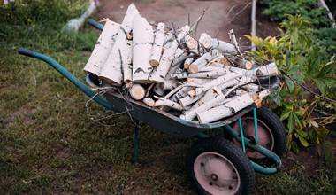 firewood-8313630_1280