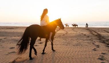 activitee-cheval-agadir-taghazout.jpg