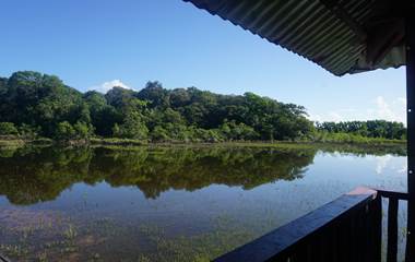 La Mangrove