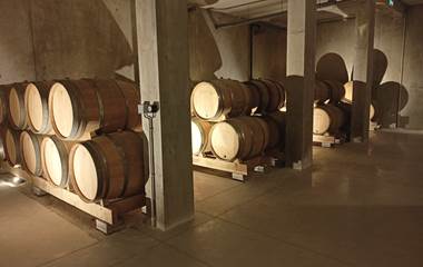 Nouvelles caves2