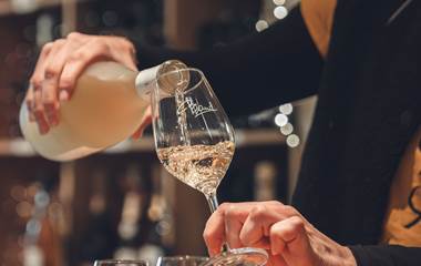Dégustation de 7 vins du domaine