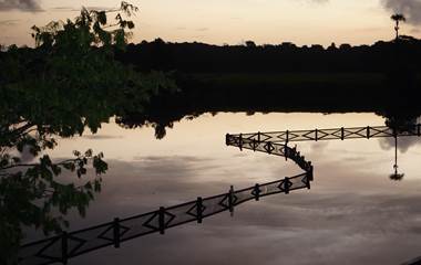 La Mangrove