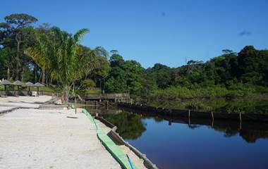 La Mangrove