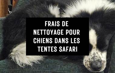 Supplément pour chien pour tentes de safari