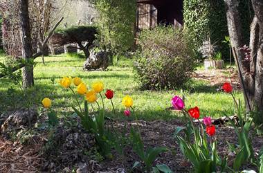 Jardin