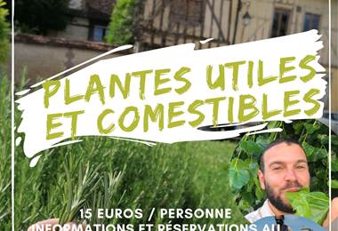 Copie de plantes comestibles