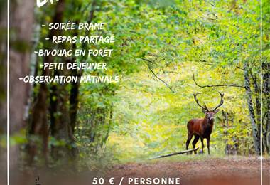 soirée bivouac VIVRE BRAME