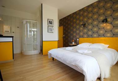 Chambre 18 m2 avec terrasse avec vue sur le parc