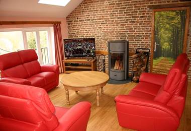 Salon avec TV et feu ouvert