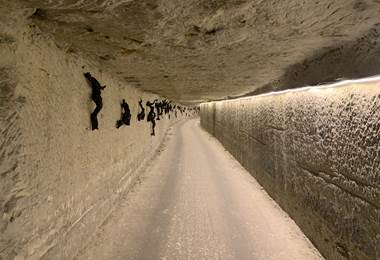 Galerie_ceps