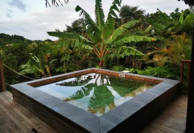 gite-horizon-balisiers-vue-piscine-jardin-tropical