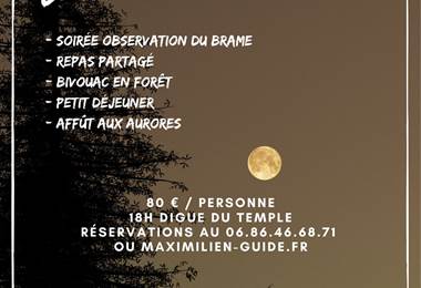 Bivouac brame 2025