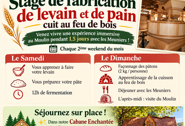 affiche stage pain et levain pour adultes