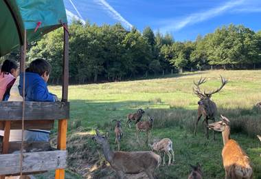 visite-guidee-parc-animalier-animaux-aveyron-occitanie-gages