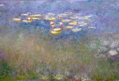 water-lilies-agapanthus