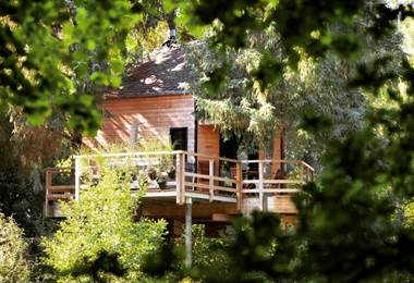 Vue sur la cabane dans les arbres