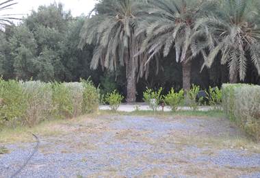 Camping sous les palmiers bleus - Ouijjane - Emplacement