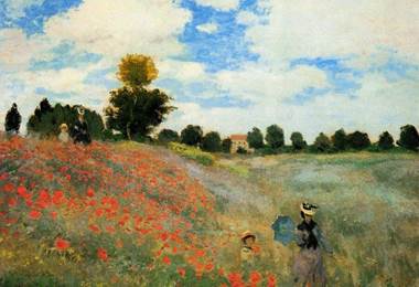 poppies