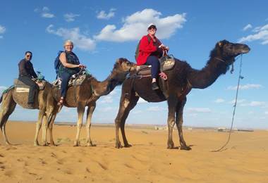 activitee dromadaire-agadir.jps