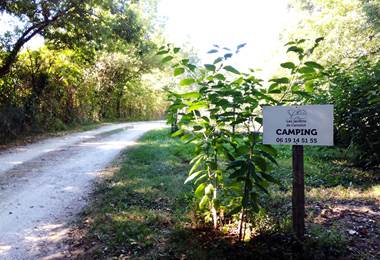 camping