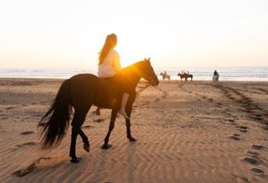 activitee-cheval-agadir-taghazout.jpg