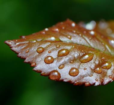 jour_de_pluie