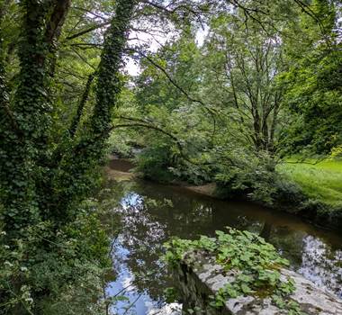Vendée - près Aizenay
