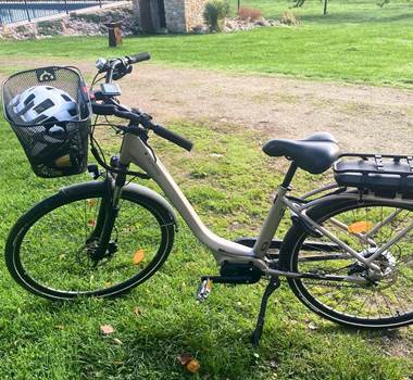 Ebike