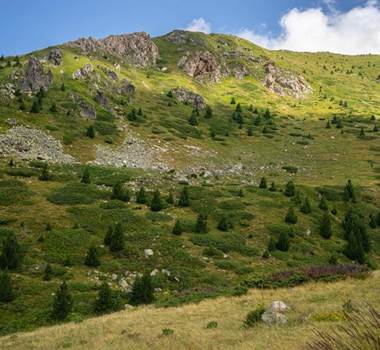 Découvrir la Vallée d'Aspe, les meilleures activités