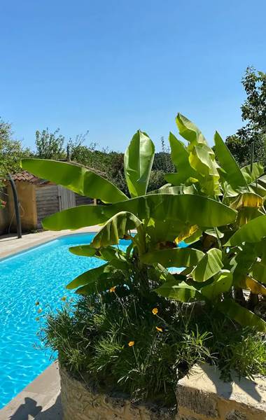 Piscine de 12m en plein soleil