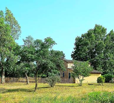VIGNOBLE LE PLATANE
