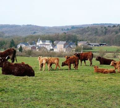 Le hameau tranquille de Xhignesse de +/- 40 habitants