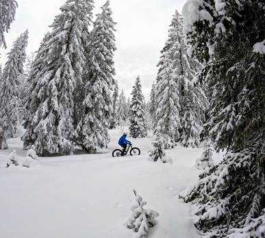 VTT sur neige à la Clusaz - plateau de Beauregard