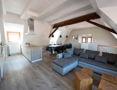 pièce à vivre / living room