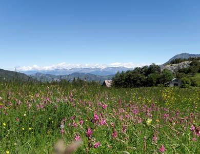 Le col d'auzet