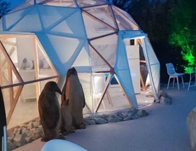 Lodge Igloo terrasse