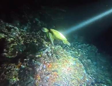 VideoCapture_20260427-125939