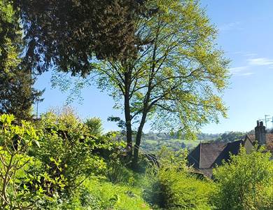 Horizon depuis le jardin