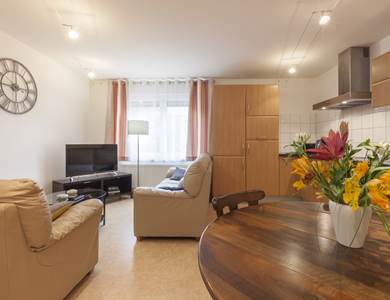 pièce à vivre / living room