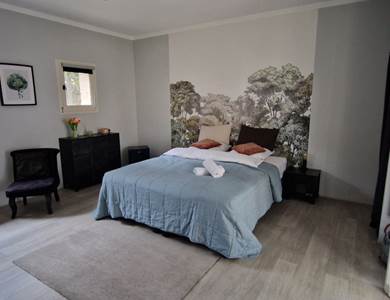 Suite junior "La forêt"