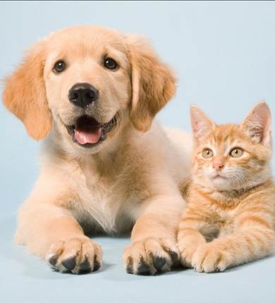 cover-r4x3w1200-664cb637ab160-045-is099m4zk