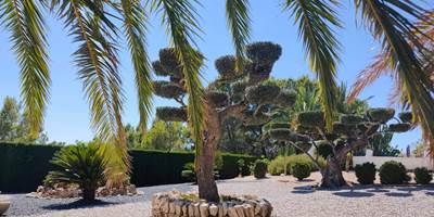 Jardin