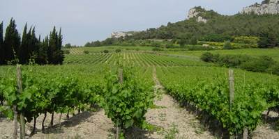 21c7aba5-e6ed-47f0-88f5-82061e018e03-around