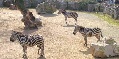 22ebc654-7c00-489a-8f9f-12518f7c0058-around