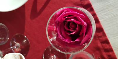 rose rouge verre.jpg
