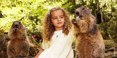 nourrissage-marmottes-parcanimalierdespyrenees-around