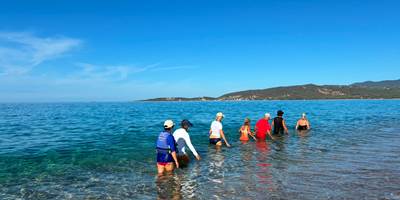 Abbartello Corse longe cote Becalou