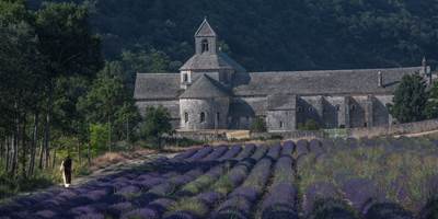 Abbaye de Sénanque-around
