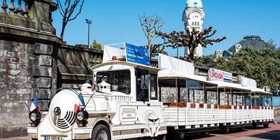 Petit Train DOTTO - 2019-around