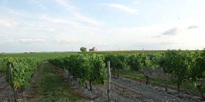 cCognac-Raison-Personnelle-2018-5--around